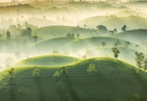 Vì sao đất Bảo Lộc được săn lùng trong vài năm trở lại đây?