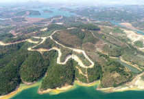 Tin tức bất động sản Bảo Lộc Lâm Đồng: Lâm Đồng thu hồi hơn 1.428 ha đất tại dự án Sài Gòn Đại Ninh