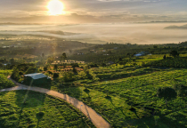 Phân tích thị trường bất động sản Bảo Lộc ? Tăng hay giảm