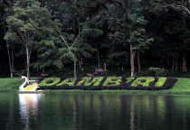 Có nên mua đất Bảo Lộc ở thời điểm hiện tại hay không?