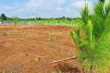 Tình hình cấp bách chủ xả lỗ 70% ra đi lô đất mặt tiền đường Âu Cơ giá 510tr