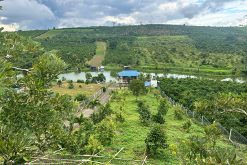 🌊 BÁN ĐẤT VIEW HỒ ĐẢO VOI – PHƯỜNG 2, TP. BẢO LỘC – CƠ HỘI VÀNG CHO NHÀ ĐẦU TƯ 🔥
