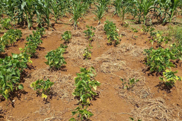 🐲 CHỈ CÒN 1 LÔ DUY NHẤT – ĐẤT ĐẸP THÔN 6, LỘC AN – GIÁ CỰC MỀM 🐲