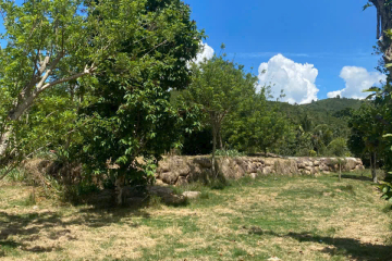 🔥 CHÍNH CHỦ BÁN ĐẤT ĐẸP BẰNG PHẲNG – AO SEN – BẢO LÂM 3 🔥