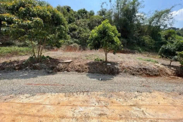 Bán đất Nguyễn An Ninh P2 Bảo Lộc - Hẻm - Giá: 590Tr