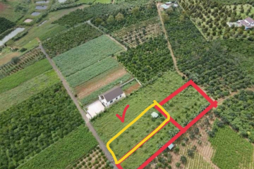 1,1 sào Hẻm 02 Tản Đà Phường Lộc Phát 