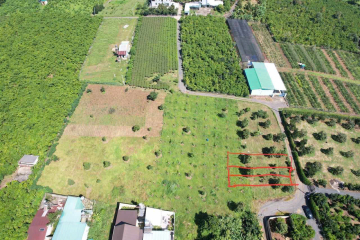 Bán 3 lô nền liền kề ngay trường học Phạm văn Đồng Lộc Thành. Cách ql55, nhà thờ, chợ có 200m. Khu dân cư đông đúc an ninh.