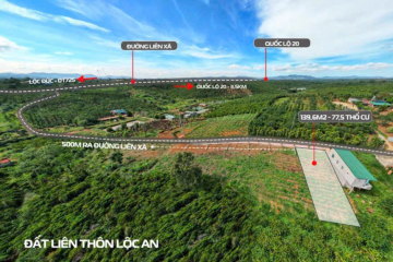 CHUYỂN NHÀ RA BẮC NÊN CẦN TIỀN XOAY, RA ĐI GẤP 1 MẢNH ĐẤT TRỐNG TẠI LỘC AN – BẢO LÂM – LÂM ĐỒNG, GIÁ HỮU NGHỊ