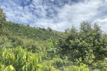 THỰC SỰ CẦN BÁN XIN PHÉP KHÔNG TIẾP MÔI GIỚI BÁN GẤP 3 SÀO ĐẤT THÔN 3 LỘC THÀNH, GIÁ THƯƠNG LƯỢNG CHO ANH CHỊ EM.