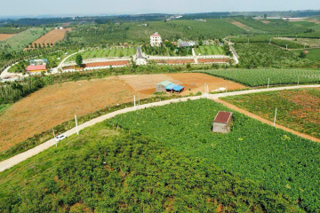 VÌ KINH DOANH THUA LỖ TRONG TẾT NÊN EM CẦN RA ĐI GẤP MẢNH ĐẤT 646M2 TẠI ĐAMBRI - BẢO LỘC, SẴN 200M2 THỔ CƯ LUÔN, GIÁ YÊU THƯƠNG CHI 450TR Ạ.