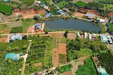 CHÍNH CHỦ BÁN LỖ LÔ ĐẤT VIEW HỒ GẦN TRUNG TÂM BẢO LỘC, DT 933M2 SẴN 200M2 ĐẤT Ở, GIÁ HỮU NGHỊ 880TR. 