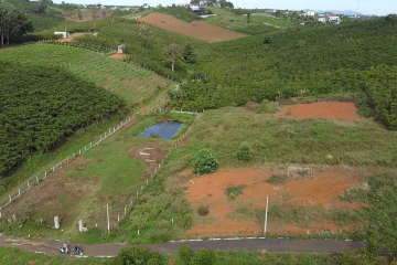 CHỦ NỢ NGÂN HÀNG, ĐANG CHUYỂN HƯỚNG LÀM ĂN CẦN RA ĐI 1.300m2 TẠI NGUYỄN THÁI BÌNH, LỘC PHÁT CHỈ 650TR