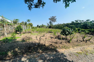 CẦN TẤT TOÁN CÔNG NỢ XẢ LỖ NGAY HẺM ĐOÀN THỊ ĐIỂM LỘC THANH BẢO LỘC, GIÁ NGỘP