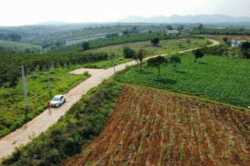 LÔ ĐẤT SIÊU ĐẸP - 646M2 ĐẤT ĐAMBRI - GIÁ 1 TỶ