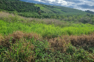 BÁN LÔ ĐẤT 2 SÀO VUÔNG VỨC - 2 MẶT TIỀN THÔN 5 LỘC QUẢNG - GIÁ 700TR