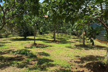 NỢ NGÂN HÀNG BÁN NHANH - LÔ ĐẤT HẺM 177 NGUYỄN ĐÌNH CHIỂU, PHƯỜNG LỘC PHÁT, BẢO LỘC - DIỆN TÍCH: 11 X 92 CÓ 150 MÉT THỔ CƯ - GIÁ 4 TỶ2 THƯƠNG LƯỢNG.