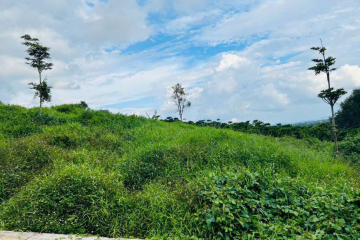 Chủ ngộp bank cần ra đi lô đất full tc tại Lộc Đức giá chỉ 380tr- Vị trí : Tiến Dương , Lộc Đức , Bảo Lộc