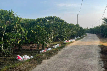 BÁN NHANH LÔ ĐẤT NẰM TRÊN HẺM 198 ĐOÀN THỊ ĐIỂM LỘC THANH- DIỆN TÍCH : 2500M²- GIÁ : 580 TRIỆU- PHÁP LÝ RÕ RÀNG