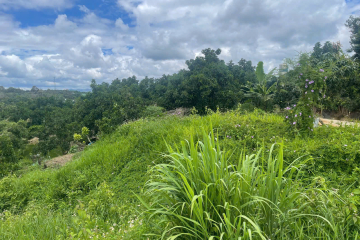 BÁN NHANH 7SAO2 SẲN 400M2 THỔ CƯ VƯỜN CF + BƠ 034 - THÔN 6 LỘC AN - BẢO LÂM - LÂM ĐỒNG- GIÁ CHỈ 420TR/ SÀO ( 2TỶ ) CẢ LÔ