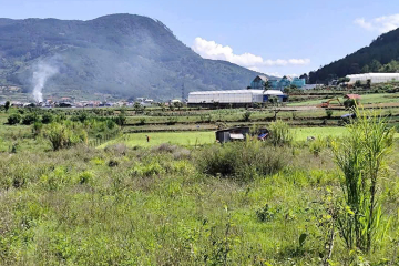 CẦN BÁN LÔ ĐẤT 2 MẶT TIỀN GẦN CHÙA LINH QUY PHÁP ẤN LỘC THÀNH - DIỆN TÍCH 5.300 M - GẦN CHỢ, GẦN ỦY BAN XÃ - GIÁ YÊU THƯƠNG 1 TỶ 499 TRIỆU 