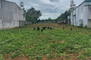 CHỈ CẦN BỎ RA 1TY ĐỂ SỞ HỮU NGAY LÔ ĐẤT - DIỆN TÍCH:  HƠN 900M² - VỊ TRÍ:  TRỊNH HOÀI ĐỨC – HƠN 900M²  - ĐÃ CÓ THỔ CƯ, SỔ HỒNG RIÊNG, KHÔNG LO GIẤY TỜ.