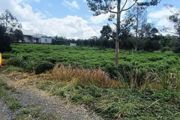 BÁN NHANH - 2800M VUÔNG CÓ SẴN 200 THỔ CƯ - CÓ NHÀ CẤP 4 RỘNG RÃ - GIÁ 1TY7 - TỪ QL55 VÀO 1 KM