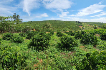 BÁN ĐẤT LẤY TIỀN CHỮA BỆNH CHO CHỦ - Ô ĐẤT  ĐƯỜNG NƠ TRANG LONG PHƯỜNG LỘC PHÁT - DT 14X42 QHTC- ĐƯỜNG Ô TÔ THÔNG - GIÁ 1TỈ350