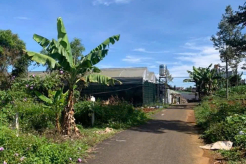 BÁN NHANH LẤY TIỀN ĐẦU TƯ NUÔI GIA SÚC - LÔ ĐẤT - HẺM 190 HUỲNH THÚC KHÁNG PHƯỜNG 2 BẢO LỘC LÂM ĐỒNG - GẦN KHU HÀNH CHÁNH THÀNH PHỐ, ĐƯỜNG NHỰA THÔNG, KHU DẪN CƯ - DTICH 6*32 GIÁ NGỘP 1TY