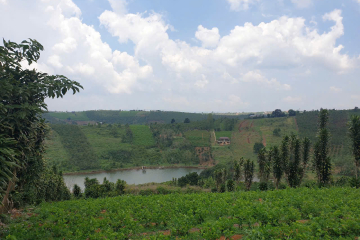 CÒN GÌ HẤP DẪN HƠN KHI SỠ HỮU LÔ ĐẤT - GIÁP HỒ VÒI VOI THÔN 3 LỘC TÂN CŨ, SÁT NHẬP P2 BẢO LỘC LÂM ĐỒNG - 2426M2 GIÁP HỒ QUANG CẢNH CỰC CHILL, LẠI NGAY KHU DÂN CƯ KHỎI SỢ HEO HÚT - GIÁ 3 TY