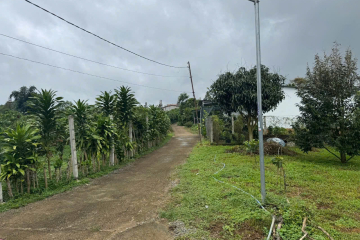 CẦN BÁN LÔ ĐẤT VƯỜN CAFFE HẺM NGUYỄN VĂN CỪ -LỘC PHÁT - DIỆN TÍCH: 1000M2 CÓ 31M MẶT TIỀN ĐƯỜNG BÊTÔNG - GIÁ: 1TY150 CÓ THƯƠNG LƯỢNG 