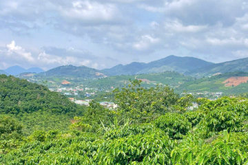 BÁN ĐẤT LỘC CHÂU P3 BẢO LỘC - 4,8 XÀO ĐO LẠI 5,3 XÀO.CÓ 60 M MẶT TIỀN - CÁCH QUỐC LỘ 20 , CHỢ CHỈ 3 PHÚT - GIÁ: 2TY290