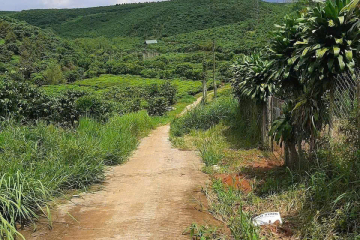 BÁN NHANH LÔ ĐẤT DIỆN TÍCH 5M ×60M (300M2) , CÓ 100M THỔ CƯ - SỔ HỒNG SẴN MẶT TIỀN ĐƯỜNG BÊ TÔNG , ĐƯỜNG THÔNG , KHU DÂN CƯ - VỊ TRÍ: THÔN 1 LỘC NGÃI , CÁCH TRUNG TÂM BẢO LÂM 1KM - GIÁ : 500TR