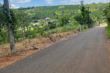 BÁN GẤP LÔ ĐẤT ĐƯỜNG NHÁNH NGUYỄN AN NINH PHƯỜNG 2 BẢO LỘC ĐỂ CHỮA BỆNH - DT 10X26 CÓ SẴN 200M2 THỔ CƯ -  GIÁ 960 TR