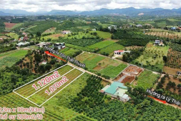 BÁN NHANH ĐÓNG HỌC PHÍ CHO CON LÔ ĐẤT - 1 SÀO 1120M2 CÓ 200M TC - HẺM 535 LÝ THÁI TỔ PHƯỜNG 2 BẢO LỘC LÂM ĐỒNG - GIÁ 2 TỶ 5 