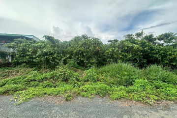 CẦN BÁN NHANH LÔ - MẶT TIỀN NHỰA TỨ QUÝ LỘC AN - BẢO LÂM 1 - 12X36 SẲN 160M2 THỔ CƯ - DÂN CƯ ĐÔNG ĐÚC ĐẤT BẰNG PHẲNG - GIÁ 2TY3 