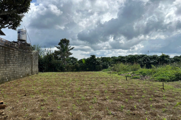 BÁN GẤP LÔ ĐẤT CHO CON ĐI DU HỌC -  LÔ LỘC QUẢNG NGAY TRƯỜNG HỌC CẤP 1 UBND VÀ TRẠM Y TẾ - DT 10X24 100M2 THỔ CƯ - GIÁ NGỘP 890TR CẢ LÔ 