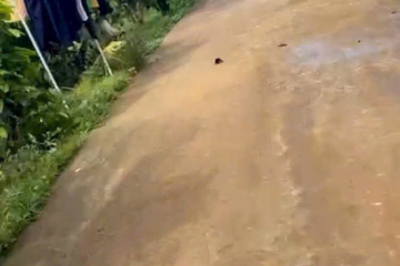 GẤP GẤP GẤP GẤP GẤP - LÔ ĐẤT VỚI GIÁ NGỘP ĐẤT NỀN MẠC THỊ BƯỞI LỘC THANH BẢO LỘC - DT 15 X 37 ĐẤT BẰNG DÂN CƯ - GIÁ CHỦ MUA 2 TỈ - CẦN TIỀN GIẢI QUYẾT CÔNG VIỆC NÊN CHỐT 1TI5