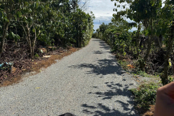 CẦN BÁN LÔ ĐẤT DT: 3699M2 SẴN 200MTC THUỘC THÔN 12 LỘC NGÃI - ÔM GẦN GIÁ 2,2TỶ BỚT LỘC - 40M MẶT ĐƯỜNG NHỰA 