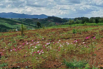 🔥 BÁN ĐẤT VIEW ĐẸP – ĐƯỜNG TÔN THẤT THUYẾT – GIÁ TỐT 🔥