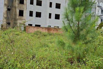 🎯 CHỐT GIÁ ĐẸP – LÔ GÓC NAM PHƯƠNG CITY – TP. BẢO LỘC 🎯