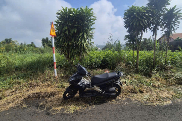 Bán đất Bảo Lộc mặt tiền Trần Tế Xương Phường 2  – giá chỉ 979 triệu