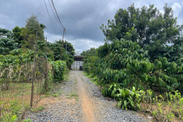 CHÍNH CHỦ GỬI BÁN – LÔ ĐẸP PHƯỜNG 2, TP. BẢO LỘC