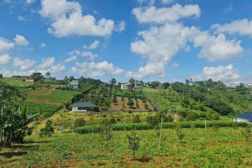 BÁN ĐẤT BẢO LỘC GIÁ RẺ – PHƯỜNG 2 CẦN TIỀN BÁN GẤP