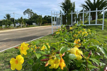 Bán 2 Lô Liền Kề Lộc An – 5x27 Có 100m² Thổ Cư, Cách Chợ Cây Xăng 900m, Giá Vài Trăm