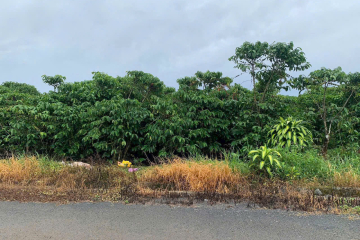 Bán Đất Mặt Tiền Tứ Quý Lộc An – 12x36 Có 160m² Thổ Cư, Cách QL20 3km, Giá 2,2 Tỷ