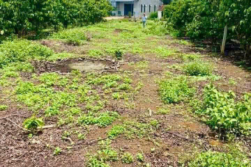 Bán Đất Mặt Tiền Âu Cơ – Tân Lạc, Hoà Nam – Giá 1,65 Tỷ