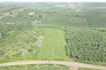 Bán Đất  P2 Bảo Lộc – Đất Vuông Đẹp Giá Chỉ 1,85 Tỷ