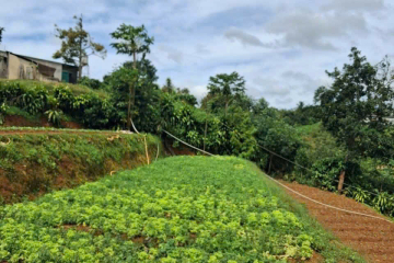 Bán Đất Hẻm Quốc Lộ 20, P.3 – Giá 2 Tỷ 650