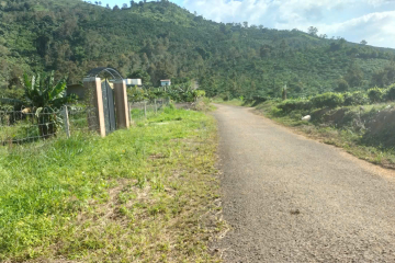 Bán 2 Sào Đất Hẻm Triệu Quang Phục –  Giá 2,2 Tỷ