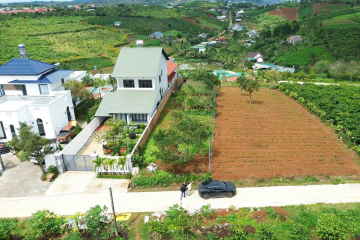 Bán Đất Phường 2  – Giá 3 Tỷ